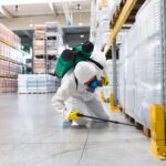 Rodent Exterminator Sydney